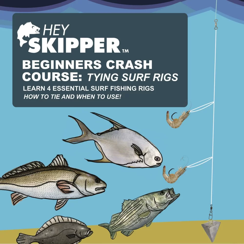 4 Basic Surf Rigs and How to Tie Them (15 page Ebook)