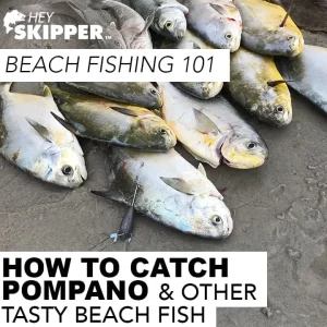 Surf Fishing 201- How to catch your own dinner fish! (Fishing Rigs and Beach Fishing Tactics)