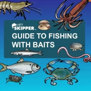 Saltwater Anglers Guide to Fishing with Bait- How to rig, use and catch fish with bait