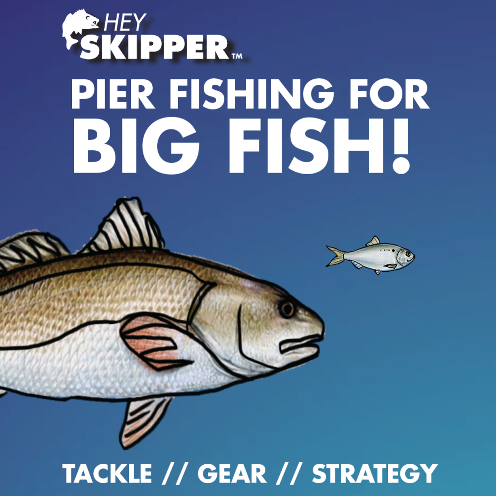 Pier Fishing For BIG fish- Tackle Gear, Techniques and Strategy