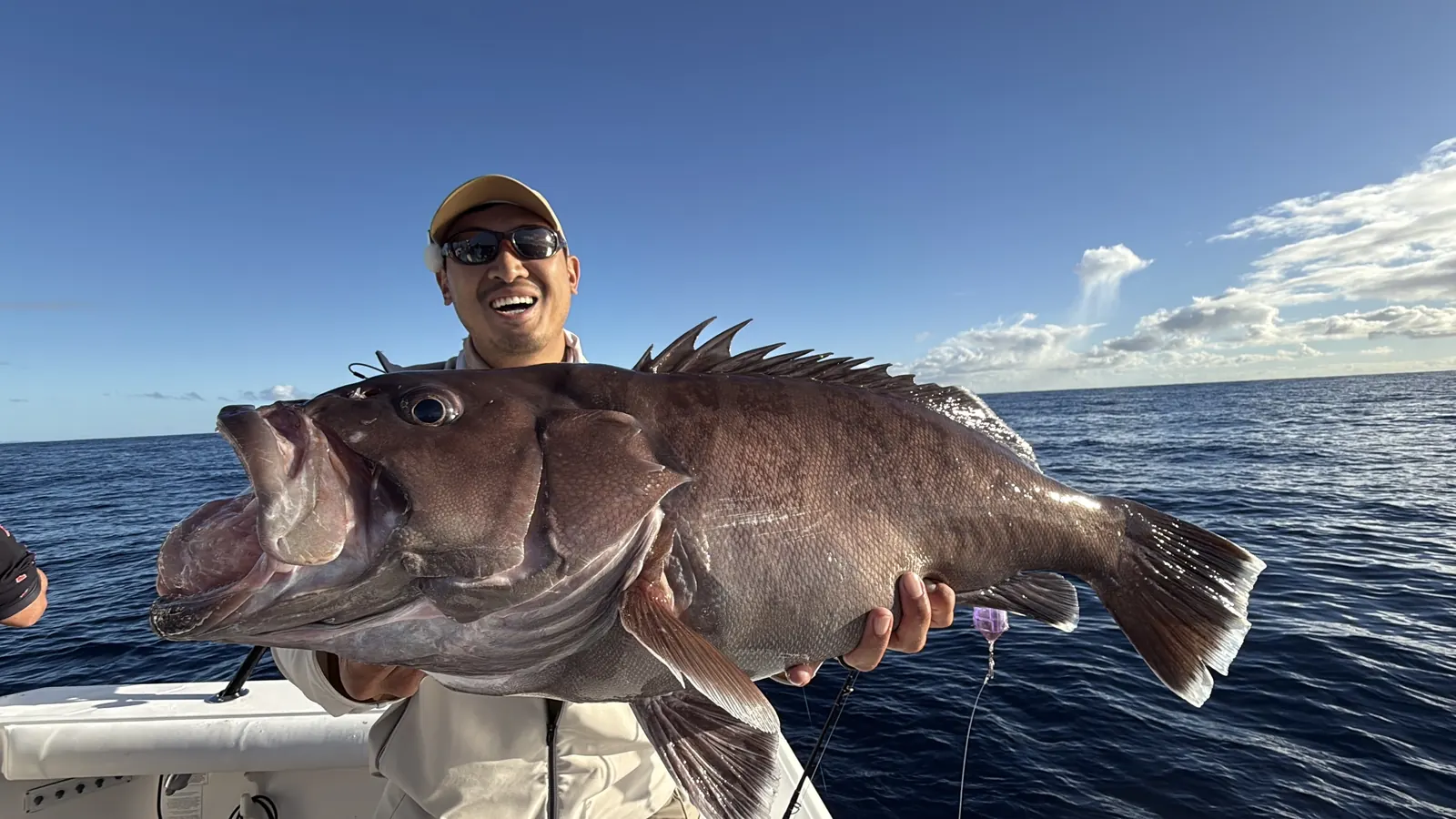 Grouper caught offshore from Brisbane