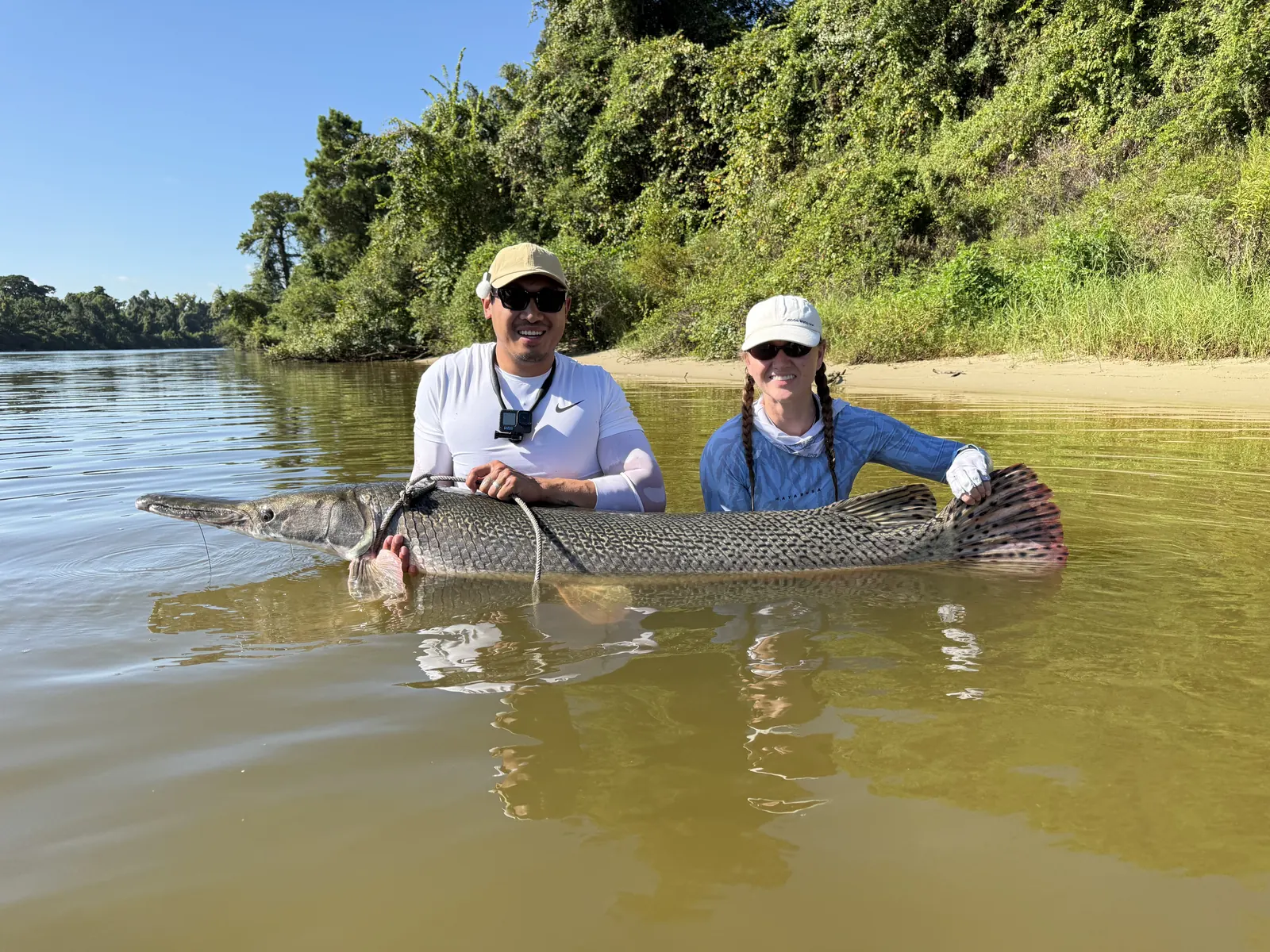 Releasing an alligator gar in Texas